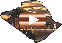 btn-info ehp boukhatmi